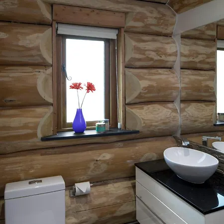Traditional Scandinavian North American Log Vakantiehuis *