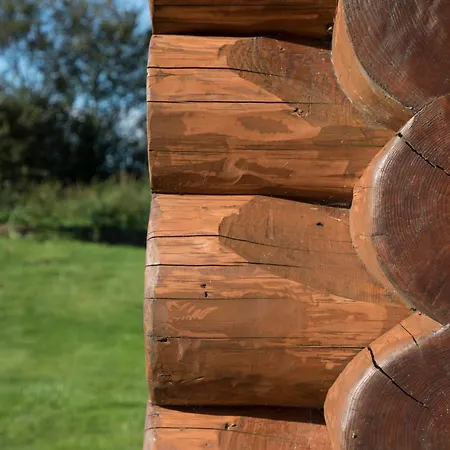 Traditional Scandinavian North American Log Vakantiehuis